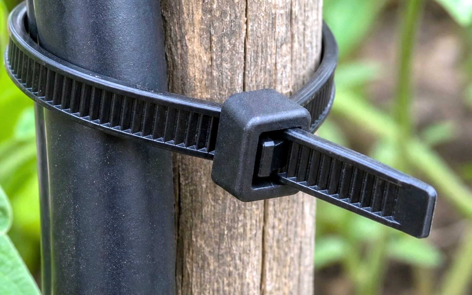 UV black nylon cable ties product visual for agricultural outdoor fixing
