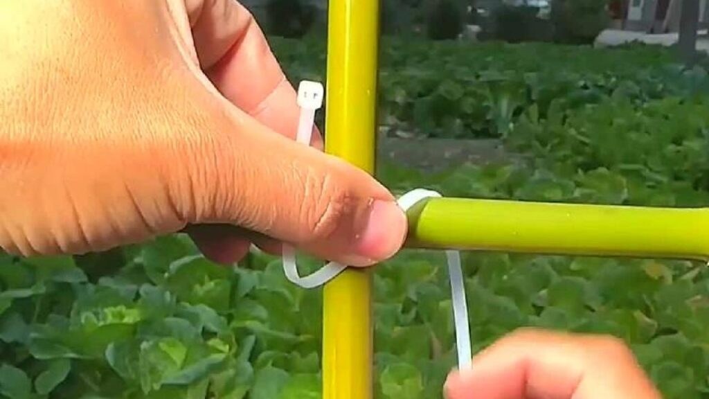 White cable tie being installed on a green garden support frame