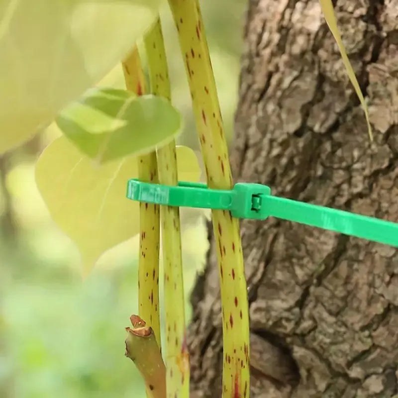 Green garden cable tie used with plant stems and tree bark