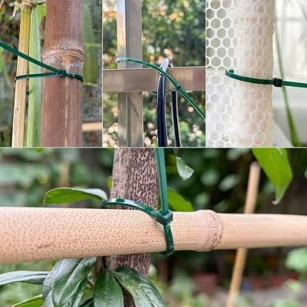 Green garden cable ties used on bamboo, fence, and plant support points