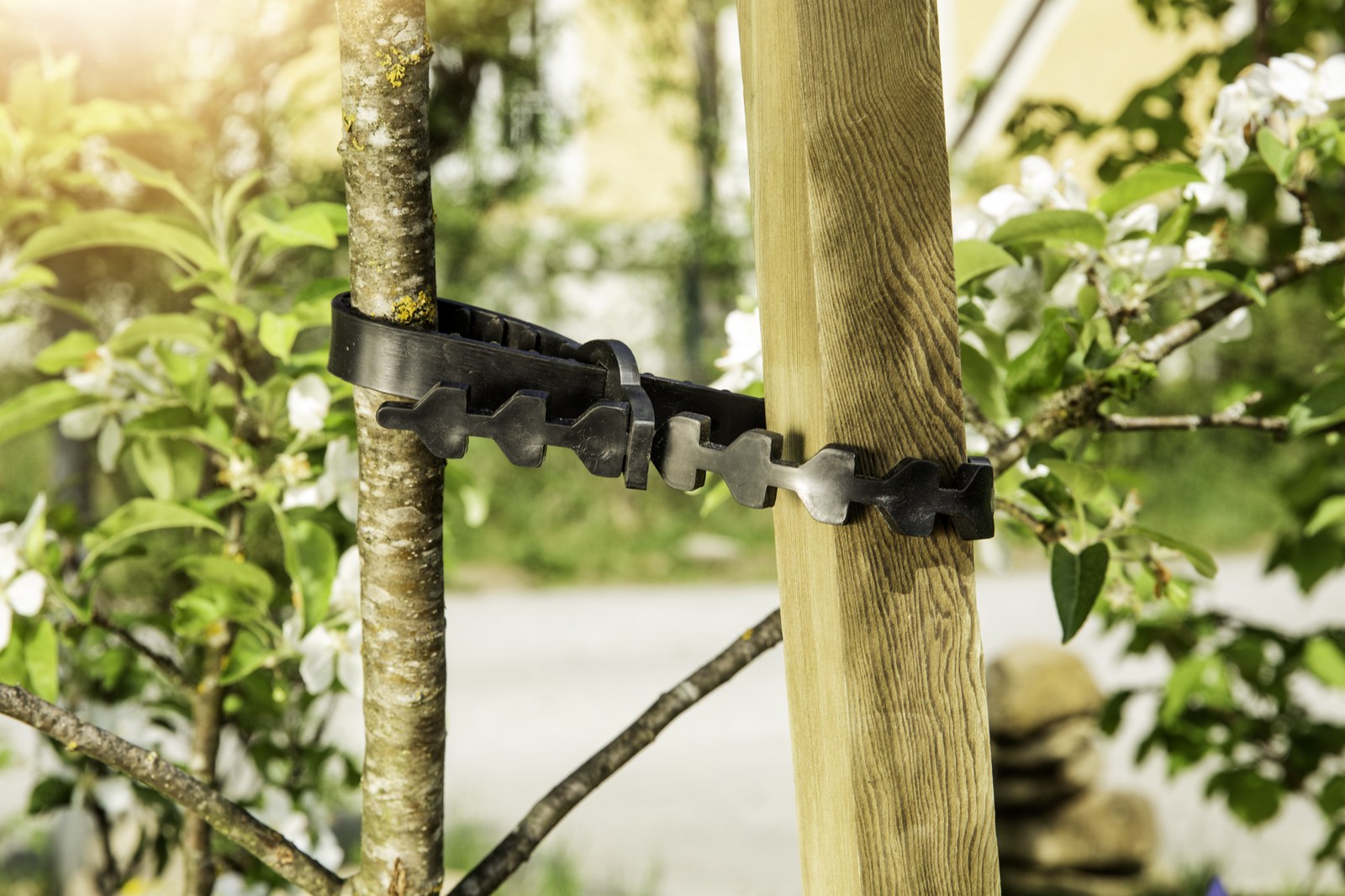 Soft black tree support tie securing a young tree to a wooden stake