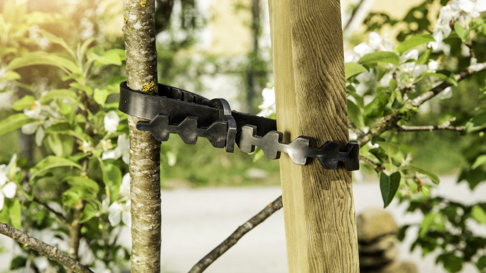 Soft tree support tie connecting a young tree to a wooden stake