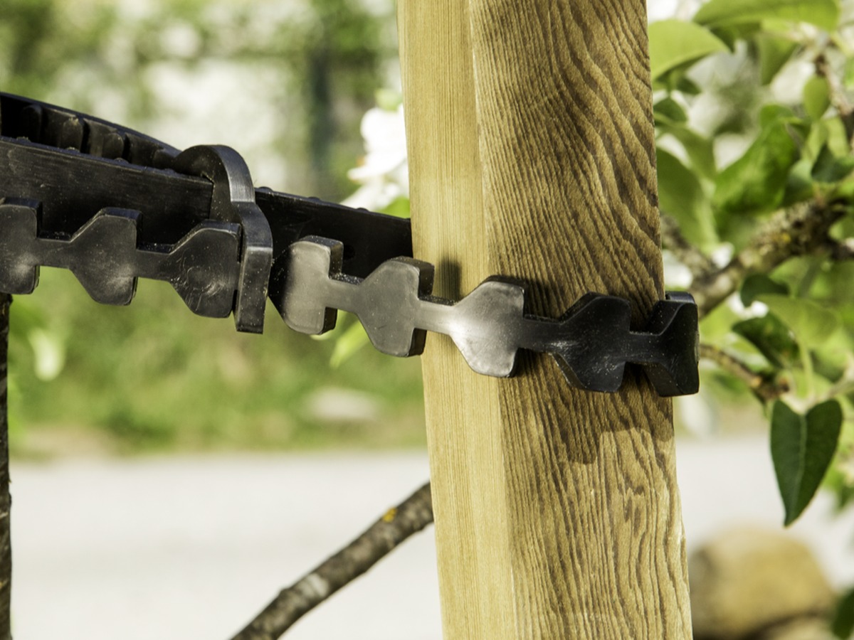 Installed soft tree tie for young tree and stake support